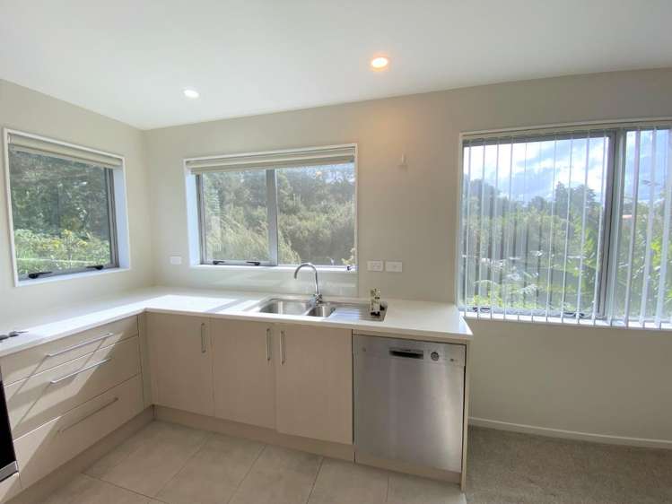 59 Leo Street Glen Eden_4