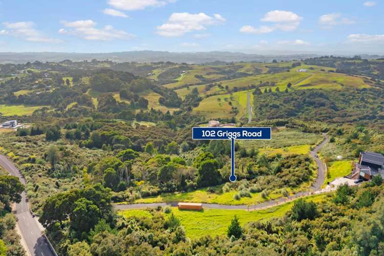 102 Griggs Road East Tamaki Heights_6