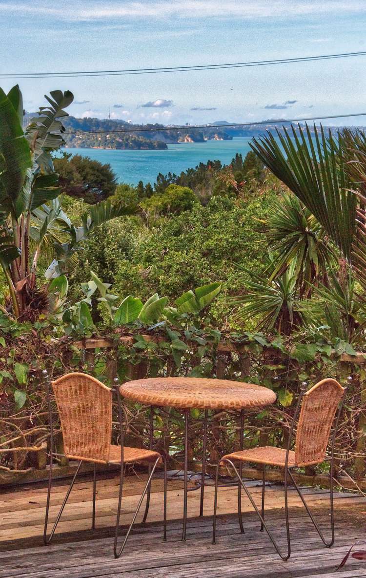 45 Cornwallis Road Cornwallis_16