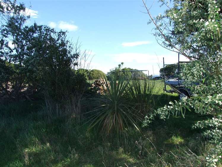 Nasmyth Street Kakanui_13