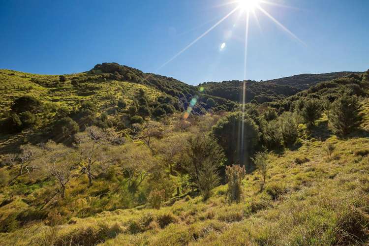 512 Orapiu Road Waiheke Island_11