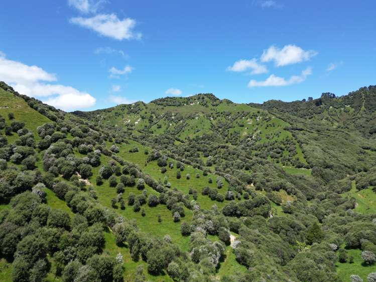 Trussells Track, Tawata Road Taumarunui_4