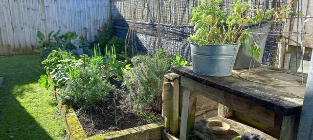 7A Graham Grove Waikanae_4