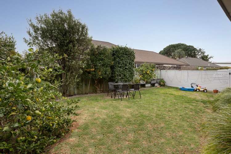 171E Maungatapu Road Maungatapu_17