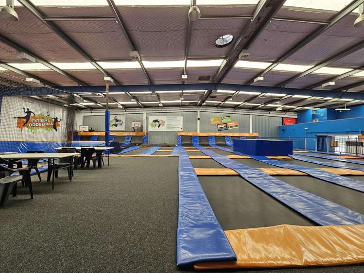 17 Fernhill Drive Massey_5