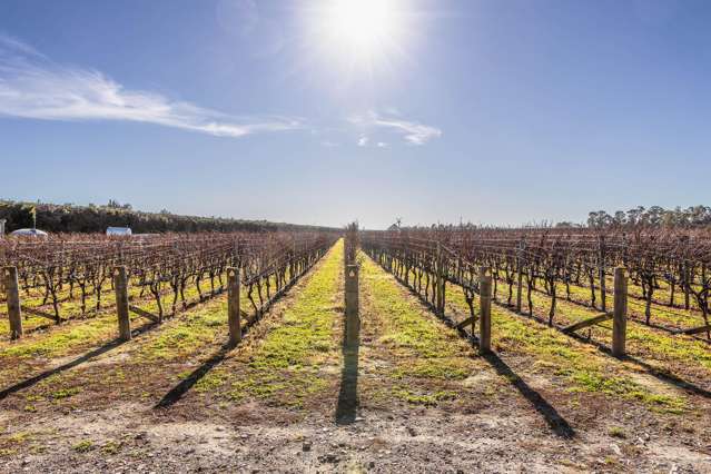 292 Mount Brown Road Amberley_2