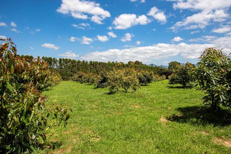 1700 State Highway 14 Maungatapere_15