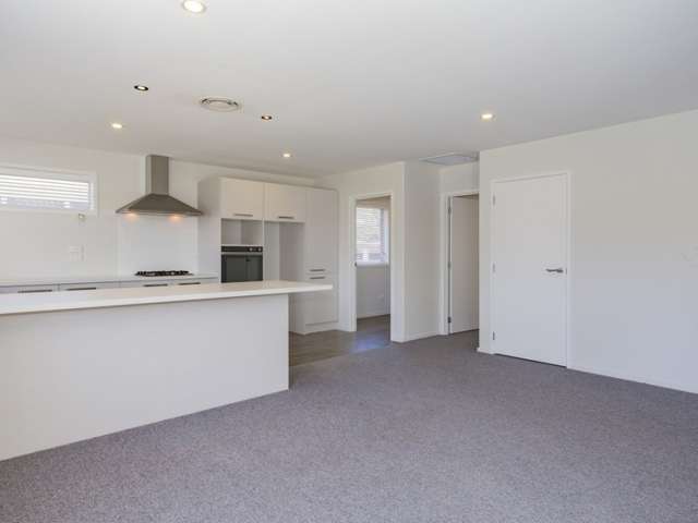 85 Bickerton Street Wainoni_3