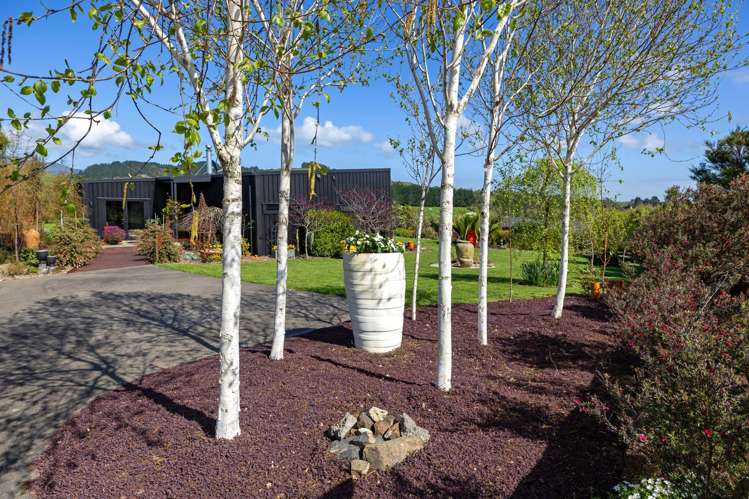 51b Bridle Creek Road Raglan_43