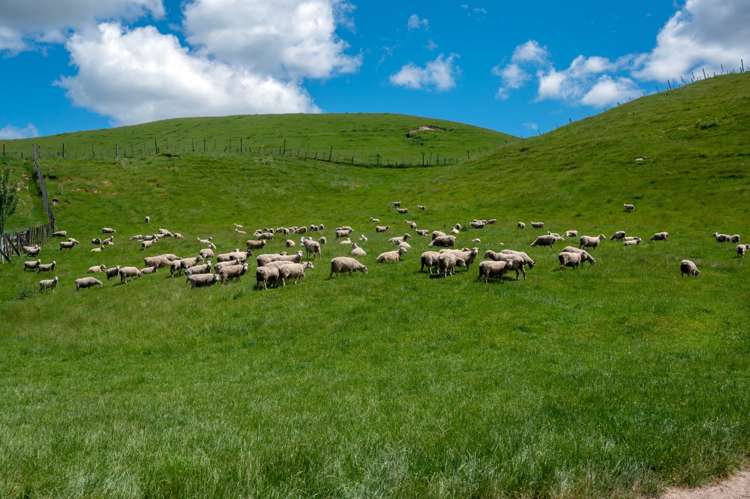 286 Jay Road Reporoa and Surrounds_7