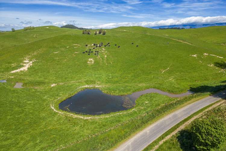 314 Rakaiatai Road Dannevirke_18