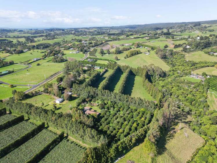 482B Esdaile Road Whakamarama_15