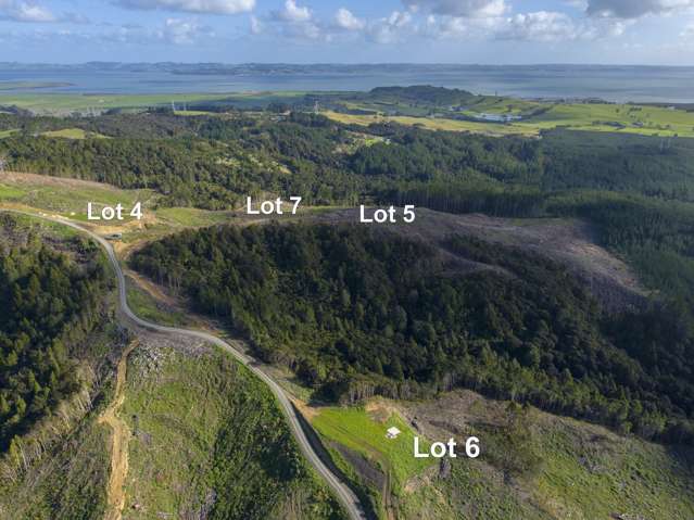 201 Tuhirangi Road Makarau_1