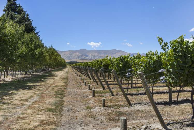 42a Gladsmuir Road Queensberry_7