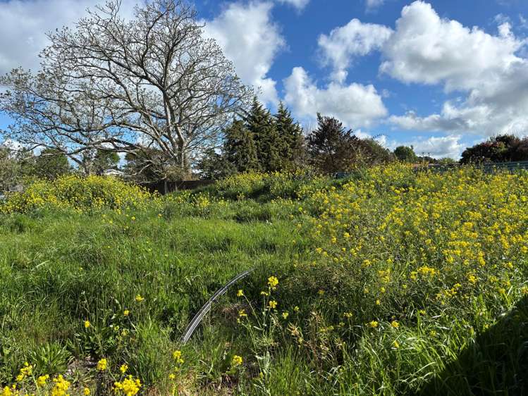 51B Fenton Street Stratford_3