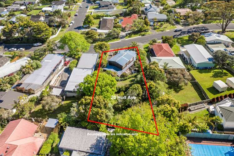 20 Holt Avenue Torbay_21