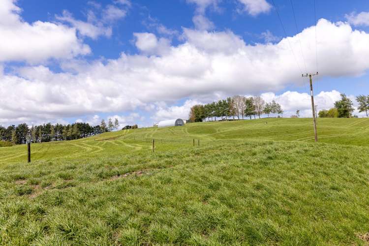 529 Waikokowai Road Huntly_19