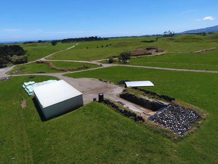 331 Warea Road Warea_5