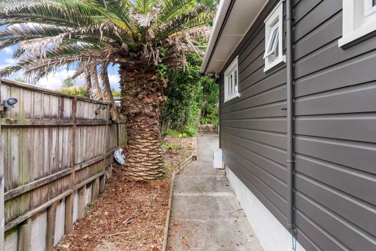 559 Glenfield Road Glenfield_22