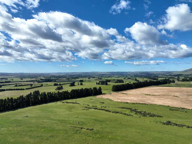 78 Mckinnon Road Middlemarch_3