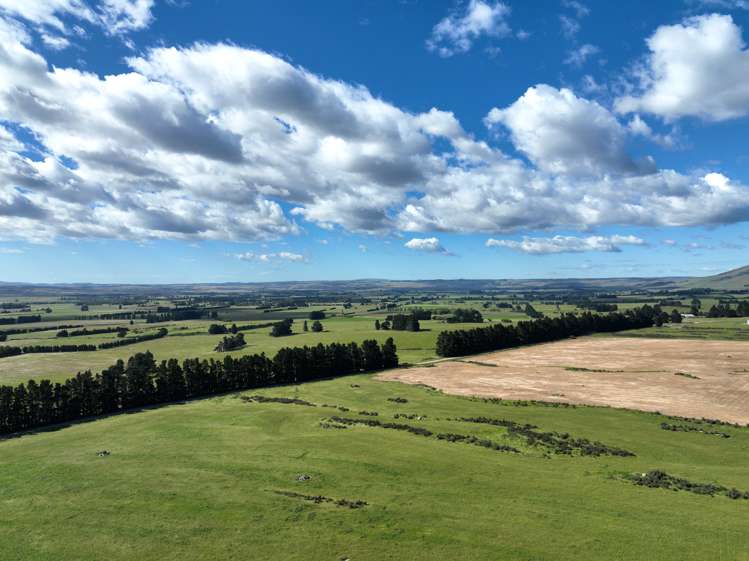 78 Mckinnon Road Middlemarch_3