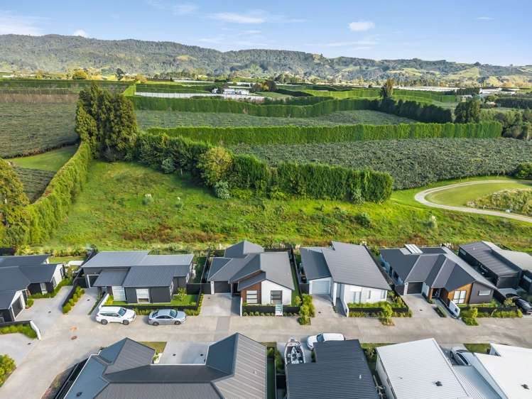 10 Tanuku Lane Te Puke_17