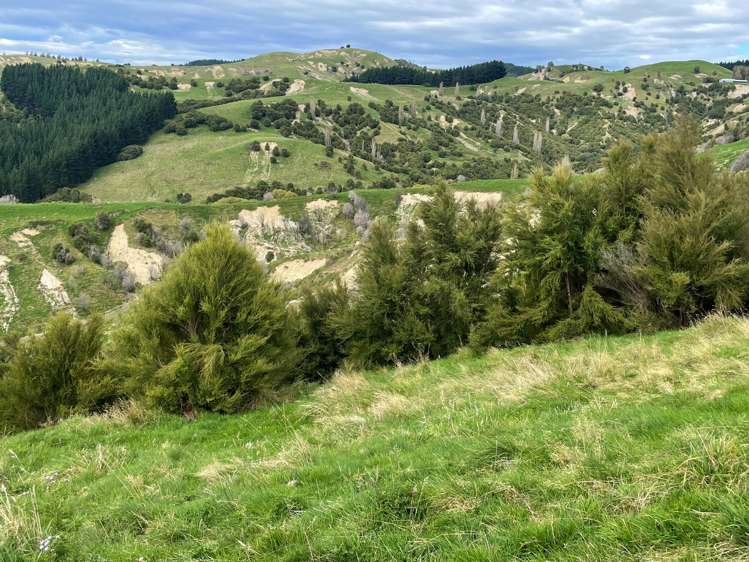 643 Glengarry Road Puketapu_13