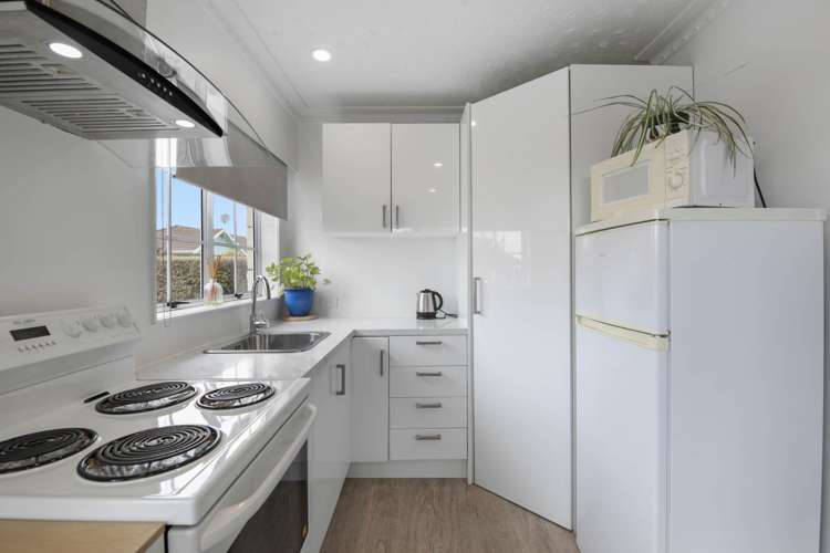 33 Leefield Street Blenheim_4