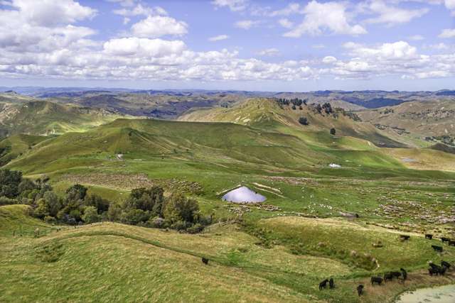 3640 Wharekopae Road - Makaretu Station Rere_4