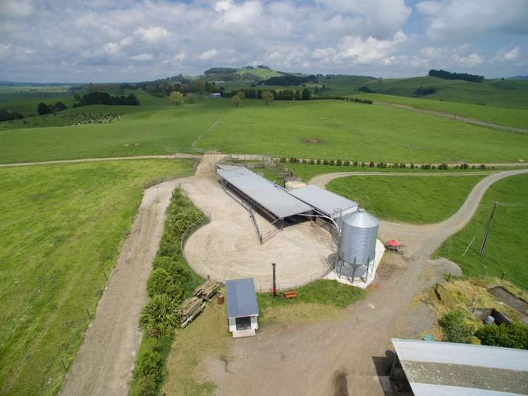 438 Waotu South Road Putaruru_13