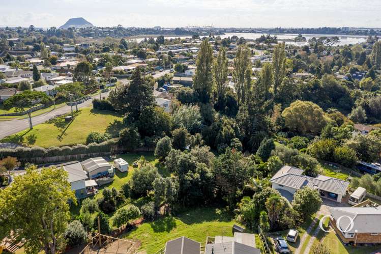 21a Sharyn Place Brookfield_3