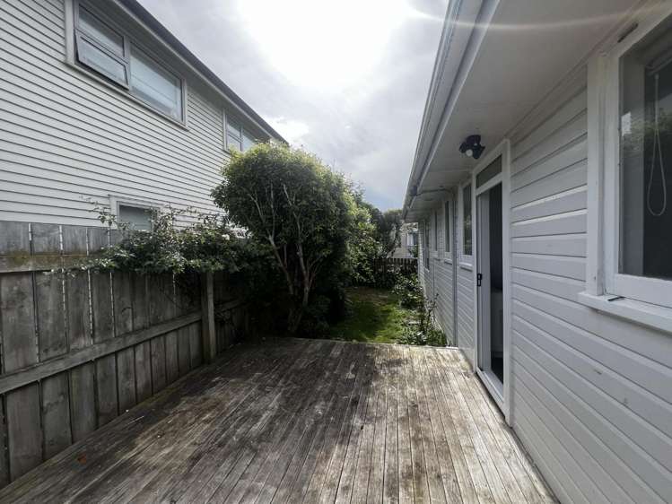 58 Te Pene Avenue 1360_16