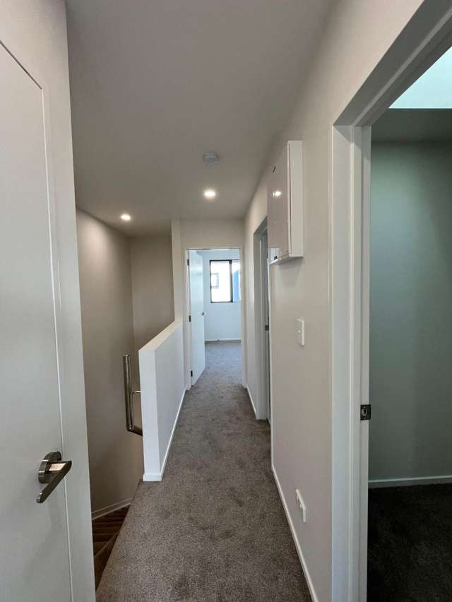 Elliot Street Papakura_4