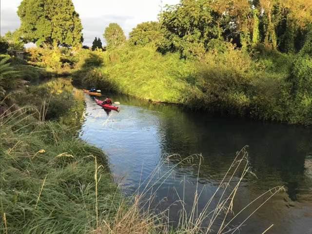 8 Egmont Road Ngongotaha_4