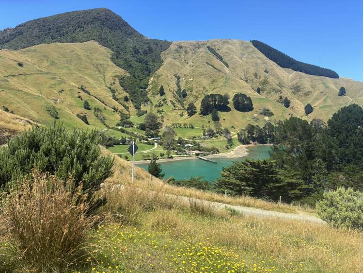 Cissy Bay Road, Cissy Bay French Pass_6