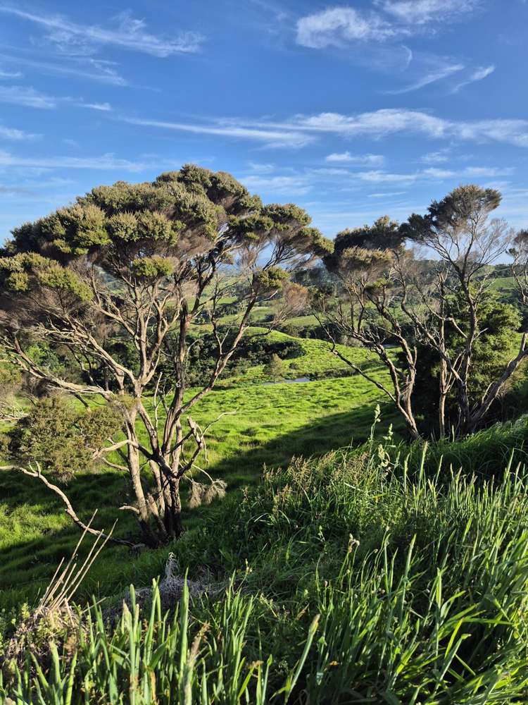 158 Kereru Lane Kaiwaka_29