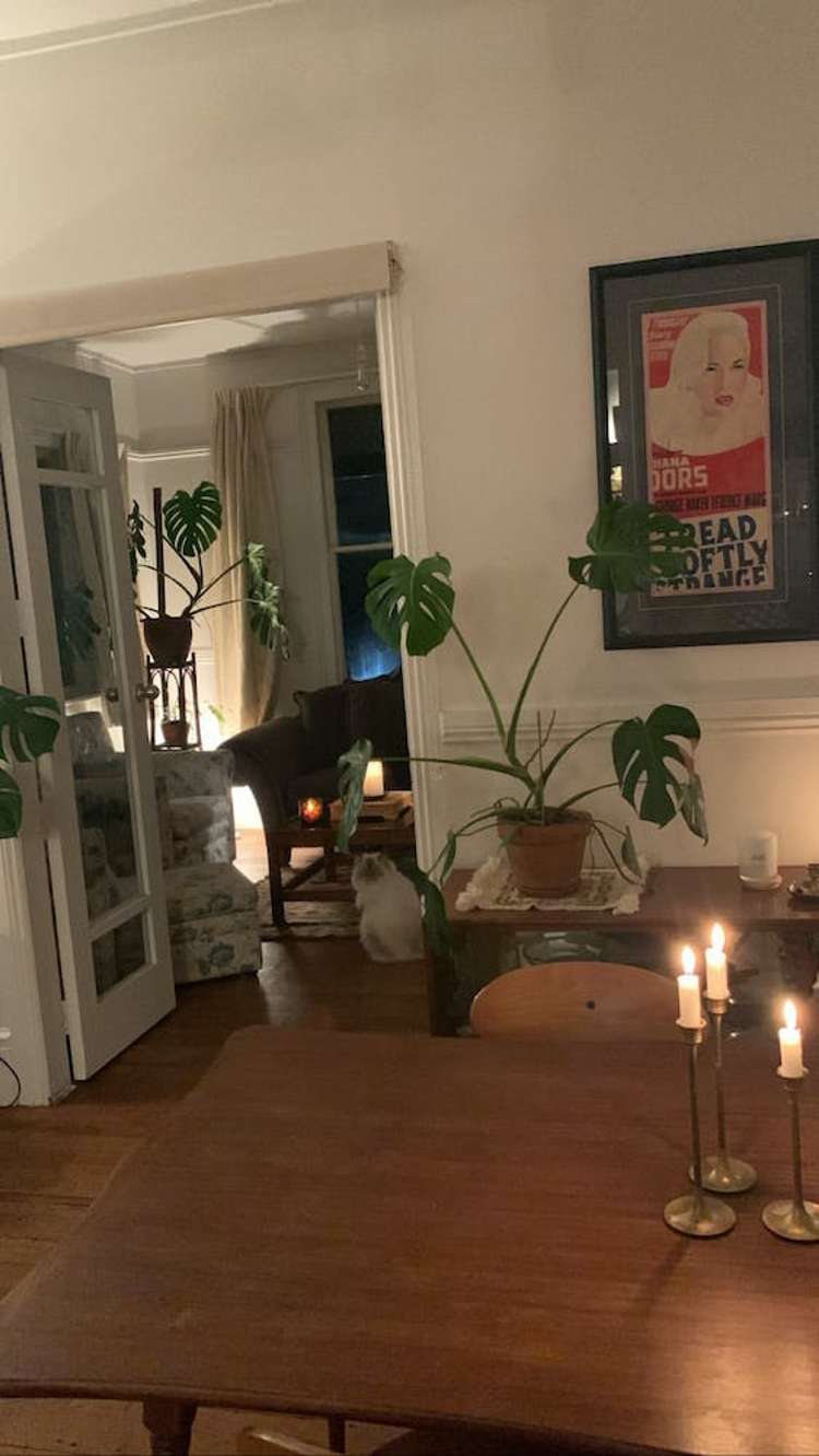 78 Cressy Terrace Lyttelton_5