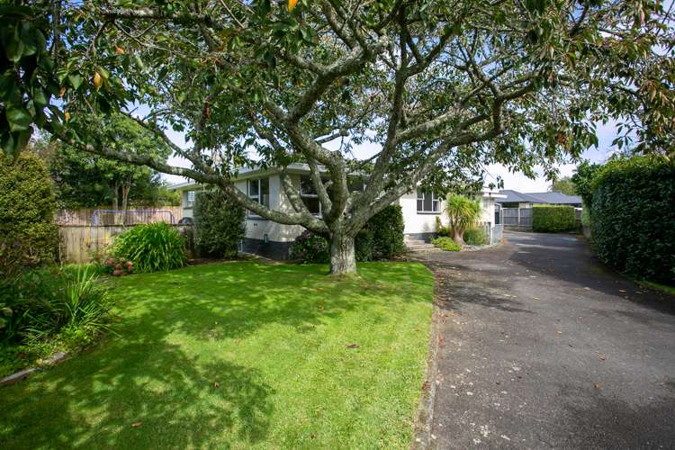 12b Taylor Street Cambridge_17