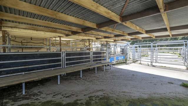 189 Thorburn Road Dannevirke_4