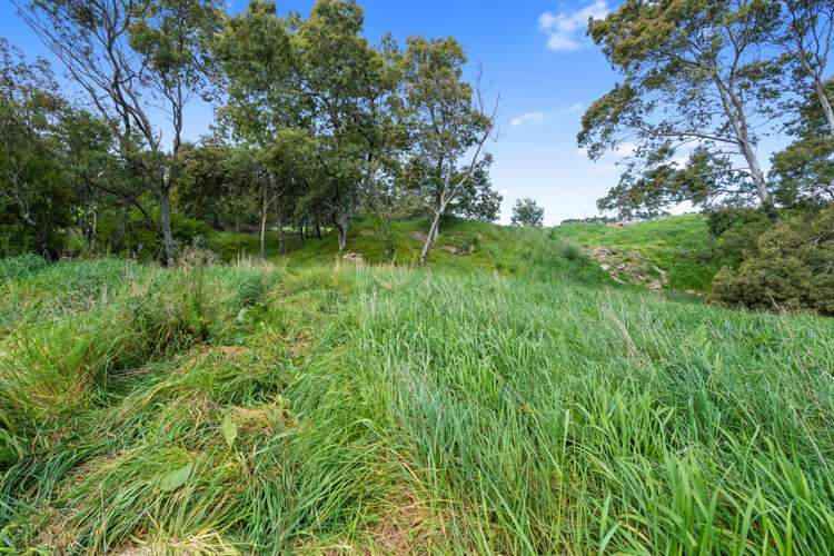 Wards Line Greytown_4