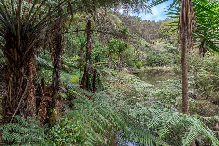 561C Waingaro Road Ngaruawahia_38