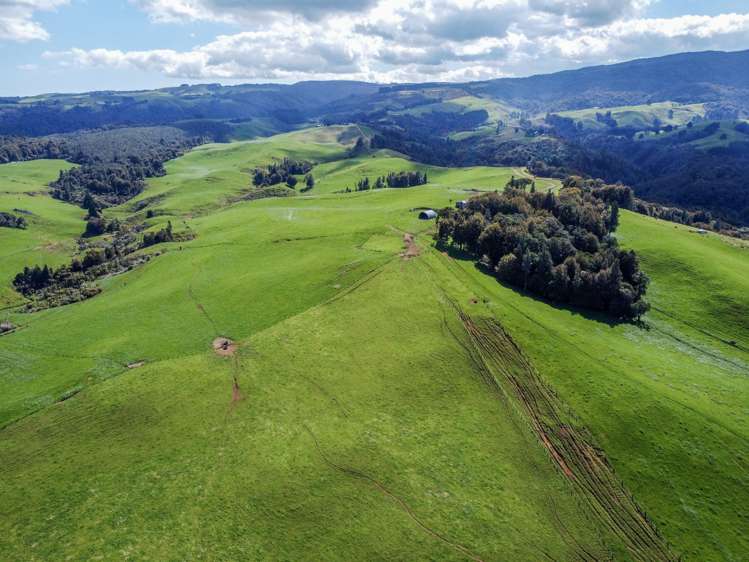 870 Mangati Road Pirongia_48