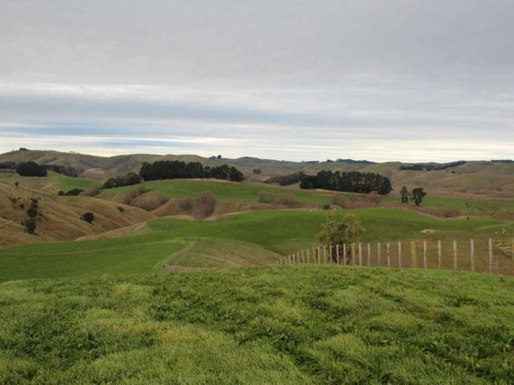 93 Bird Road Central Hawkes Bay Country_16