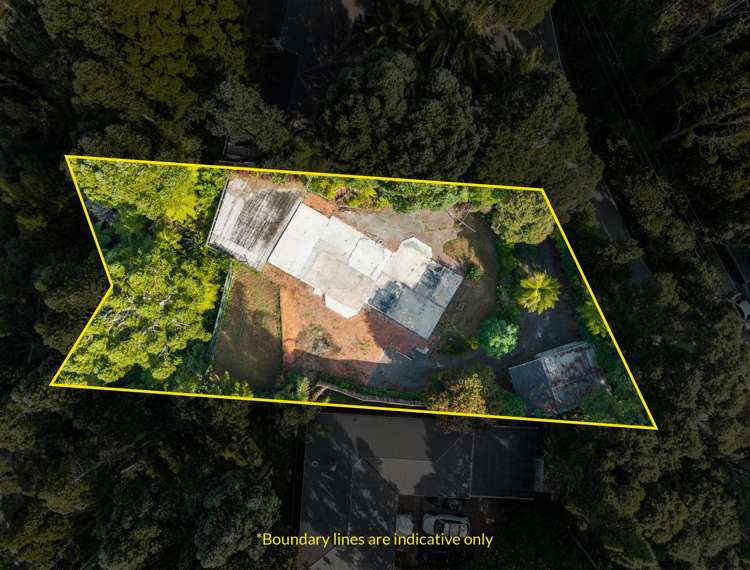 240 Konini Road Titirangi_8