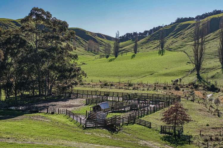 717k Puketitiri Road Puketapu_14