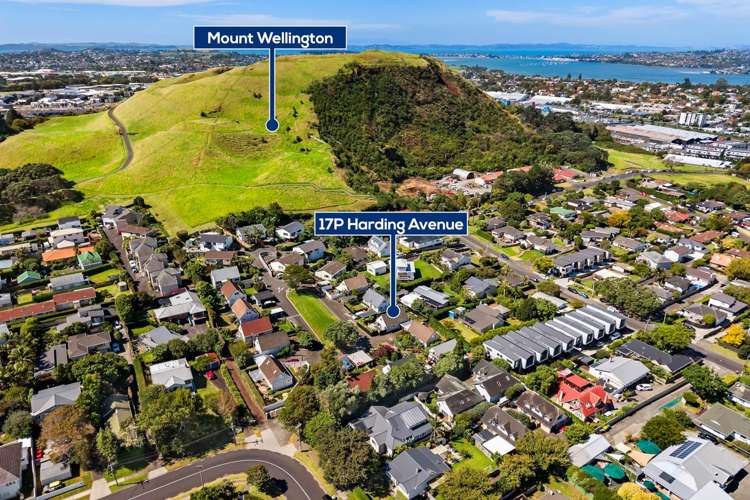 17P Harding Avenue Mt Wellington_18