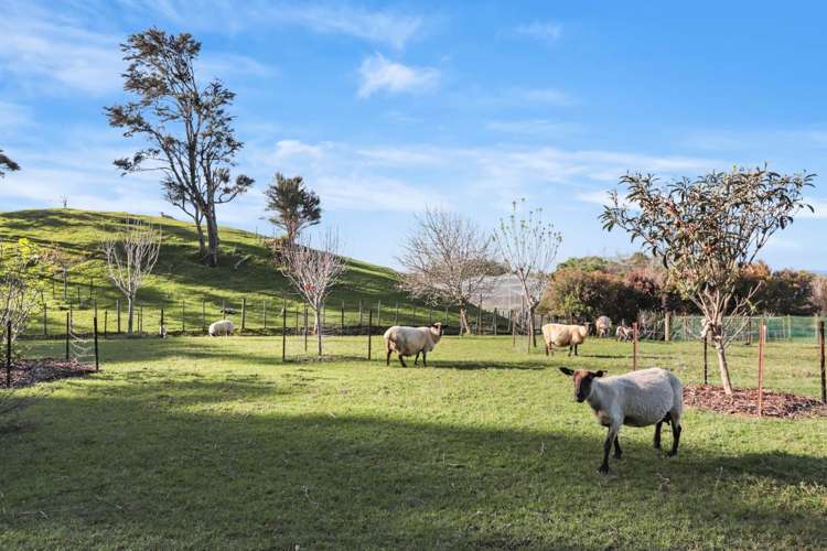 319a Wishart Road Helensville_38