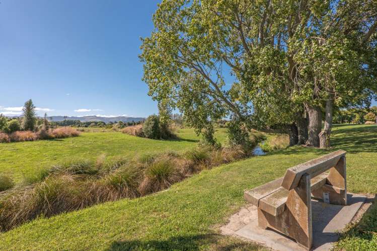 119 Jimmy Adams Terrace Lincoln_22