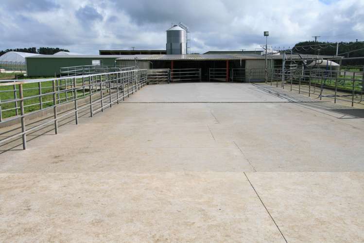 178 Omahuru Road Okaiawa_18