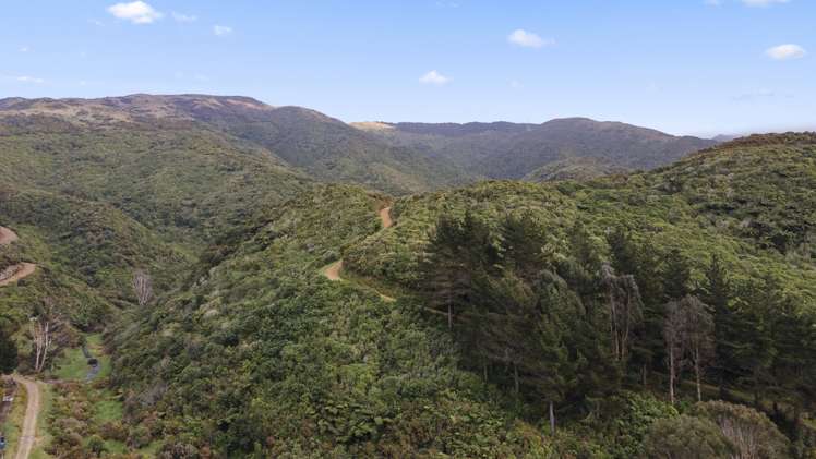 234 Stratton Street Normandale_12